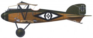 Истребитель "Альбатрос Д.3" (153.06), принадлежавший гауптману Годвину Брумовскому