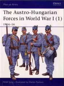 «Австрийская армия в Первой мировой войне 1914–1916 гг.»