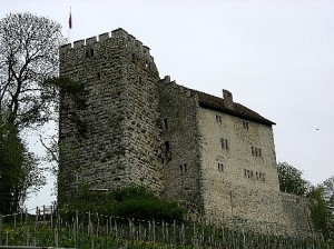 Залишки замку Habichtsburg — родового гнізда Гасбурґів