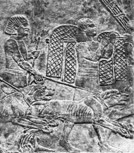 Ассирийские боевые псы (барельеф VII в. до н.э.)