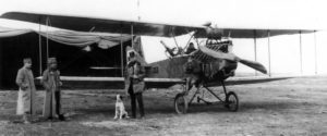 Albatros B.I (серийный номер 22.01) из состава Flik 1, на котором гауптман Индра летал в начале 1916 года