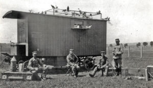 Стая, вернувшаяся в мобильную голубятню (Галицийский фронт, корпус Гоффмана, с. Нараев, 1917 год)