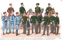 императорские и королевские Боснийско-герцеговинские войска, Полиция и Жандармерия