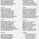 Слова гимна Австро-Венгрии эпохи Франца Иосифа на чешском, румынском, хорватском, итальянском, польском, украинском, словенском и еврейском языках