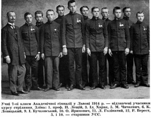 Ученики 7-го класса Академической гимназии г. Львова (1914). У некоторых видно награды за стрелковые соревнования.