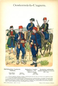 Далматский и боснийский ландвер (1869-1888)