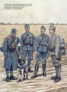 Армия в 1916-17 годах