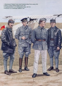 Авиационные части, 1917-18 гг.