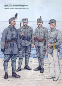 Албанский фронт и украинские добровольцы, 1917 г.