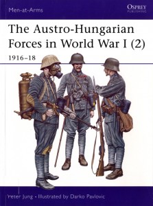 «Австрийская армия в Первой мировой войне 1916–1918 гг.»