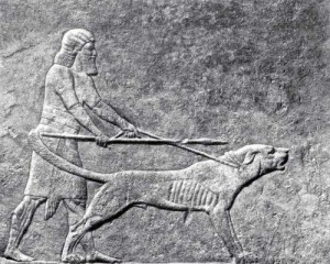 Воин с боевой собакой (фрагмент рельефа из дворца Ашшурбанапала в Ниневии)